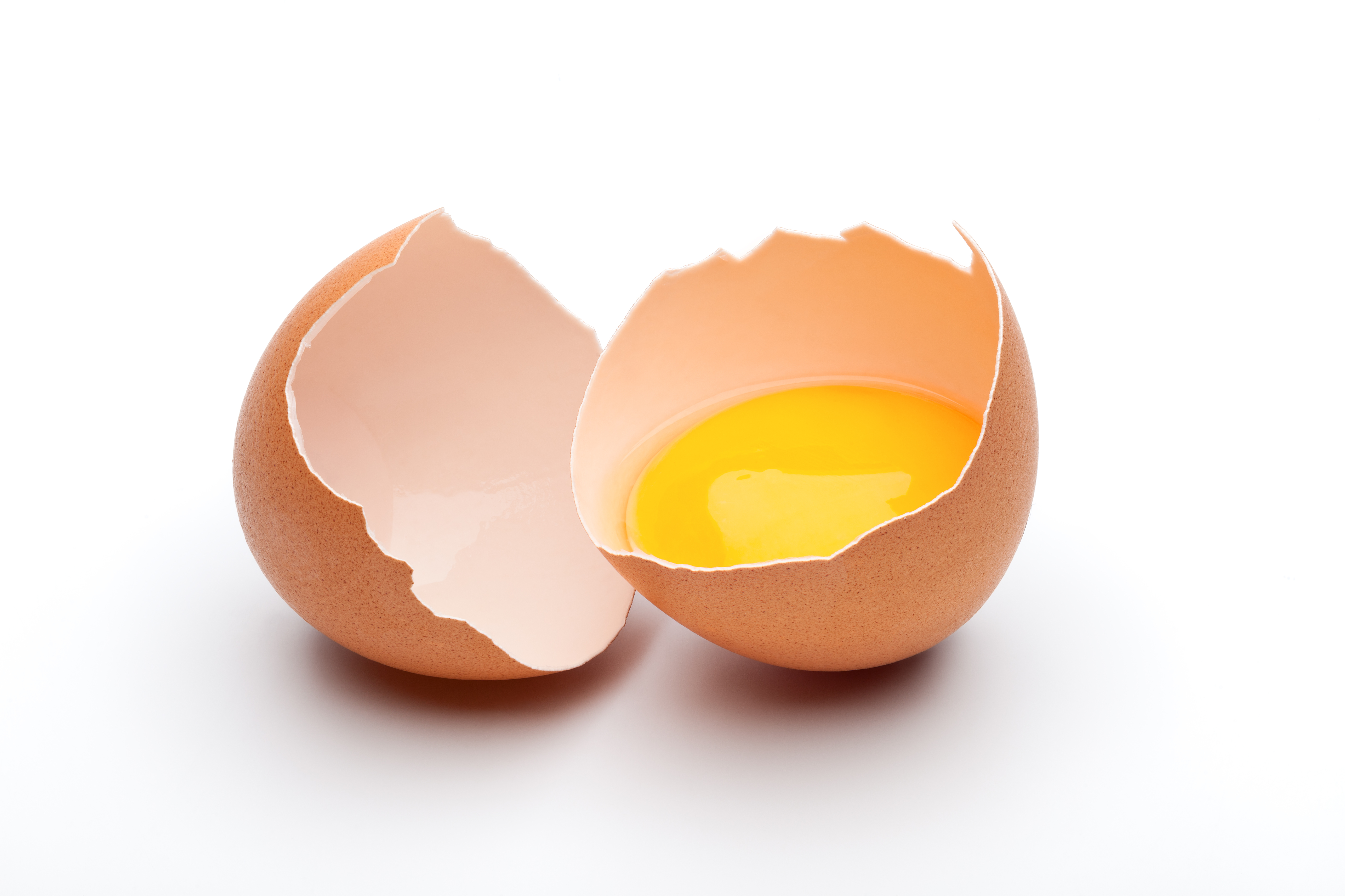 Eggshell membrane