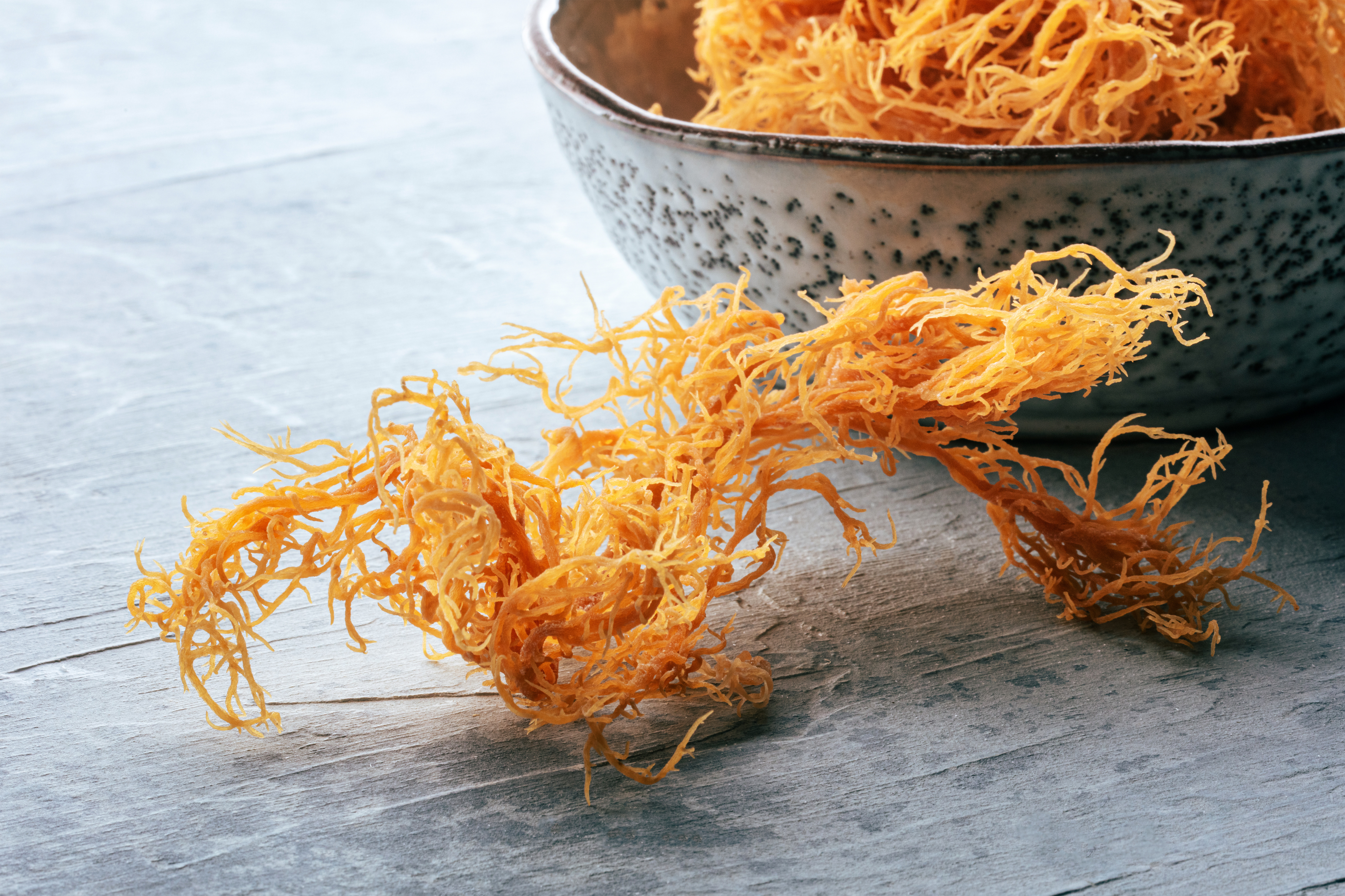 Sea moss